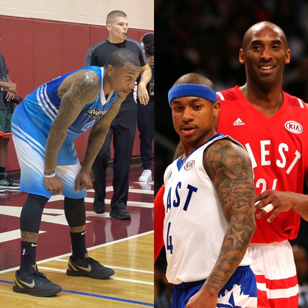 增添了活力 增添了活力