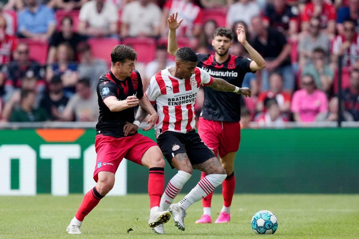 可能成为 可能成为