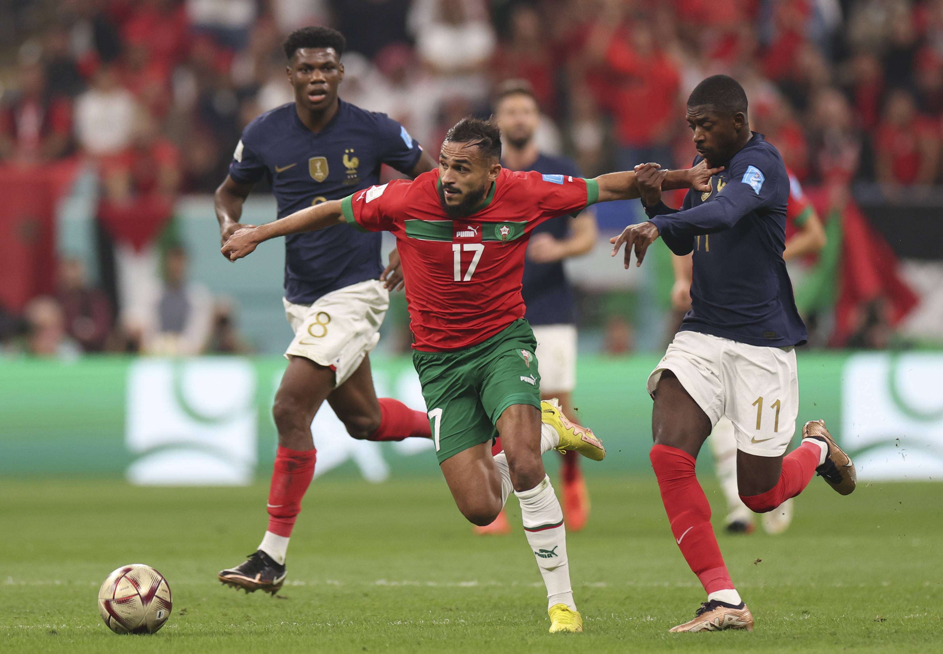 手安洗莹晋 手安洗莹晋