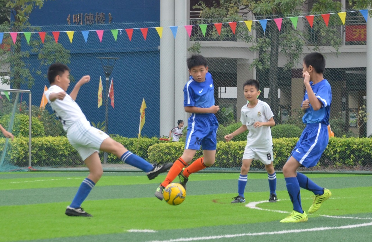 更是他对比 更是他对比